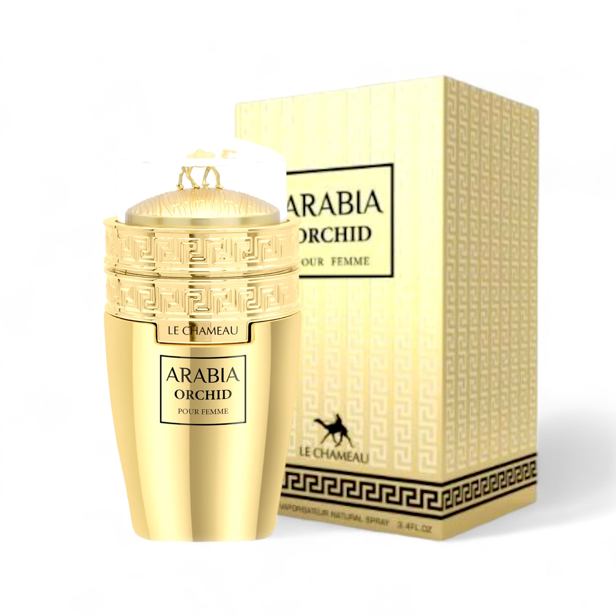 Arabia-Orchid-by-Le-Chameau-