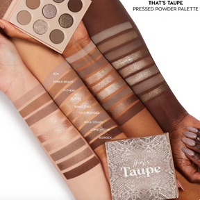 That is Taupe Pressed Powder Palette